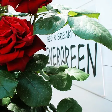 Evergreen Bed & Breakfast Roseto Capo Spulico