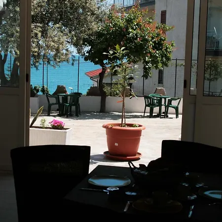 Evergreen * Roseto Capo Spulico