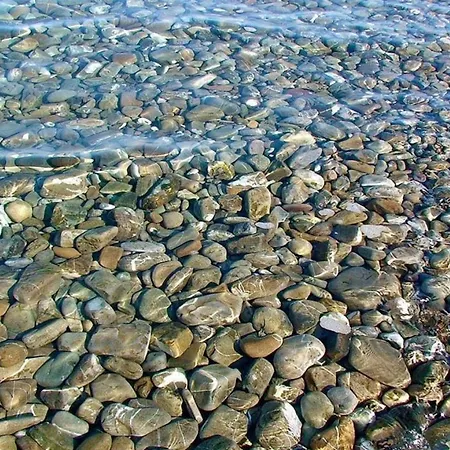 فندق مبيت وإفطار Evergreen